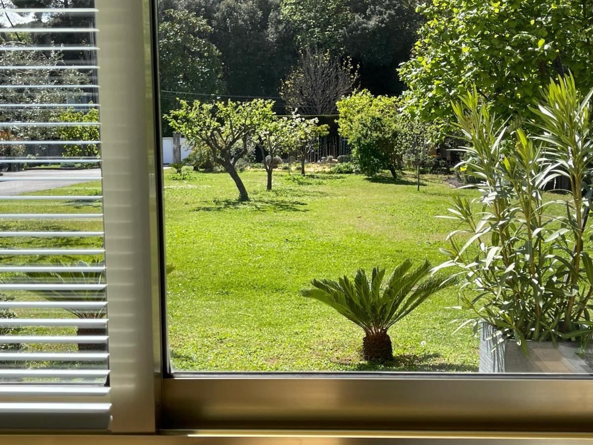 Studio Tout Confort Au Calme Avec Jardin Proche Cannes Le Cannet Exterior photo
